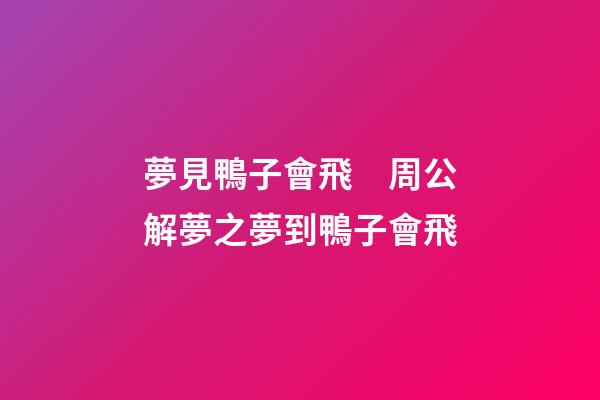 夢見鴨子會飛　周公解夢之夢到鴨子會飛